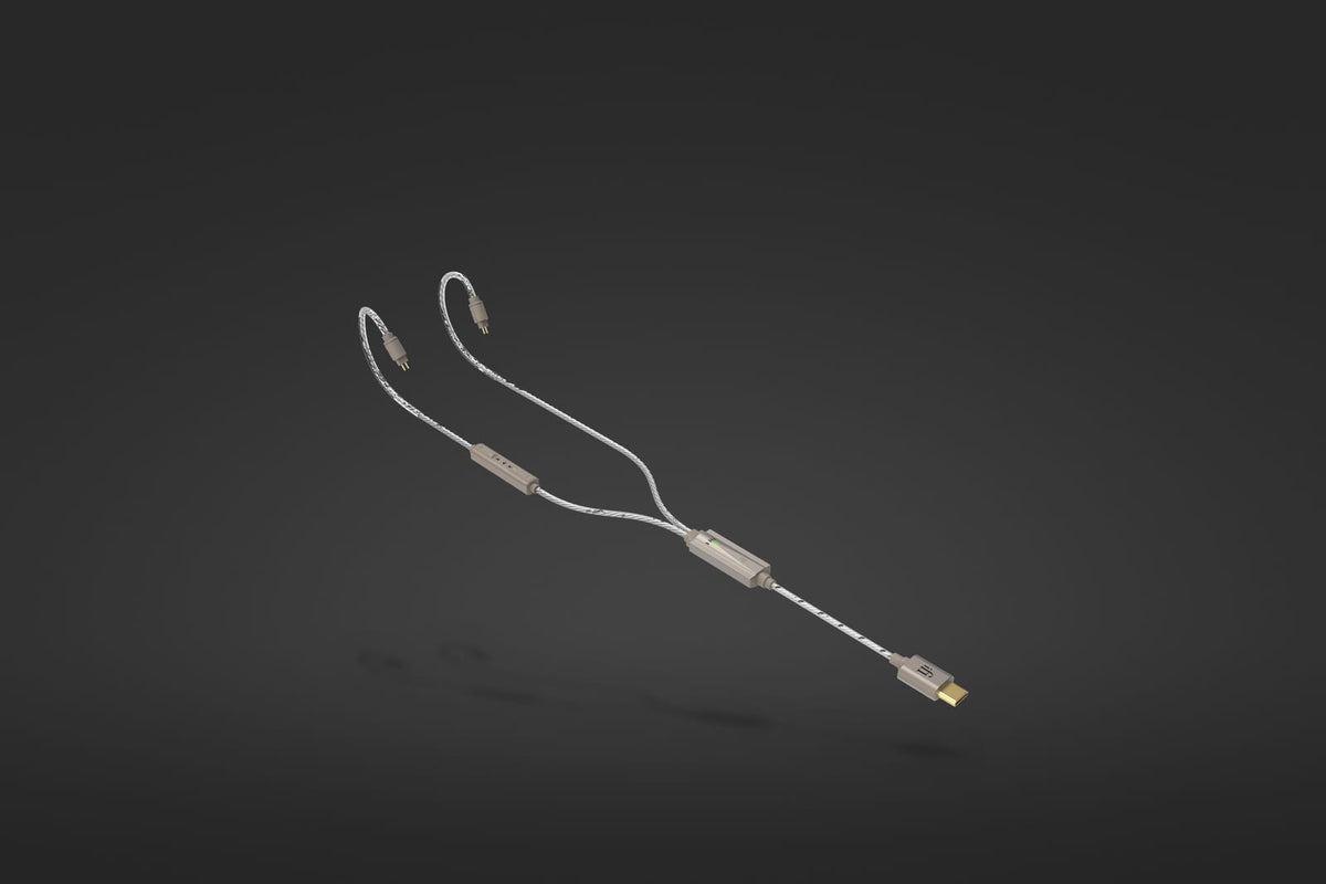 iFi GO cable